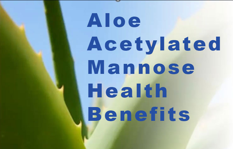 Pulmonary COPD – Asthma