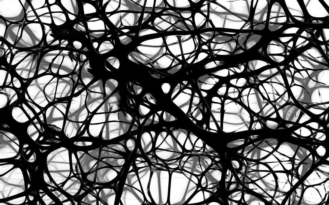 Unlock your Body and Mind’s Full Potential with Neuro Nutrimens