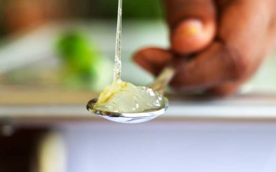 “Acemannan”: The Polysaccharide in Aloe Vera That Offers Powerful Health and Longevity Secrets