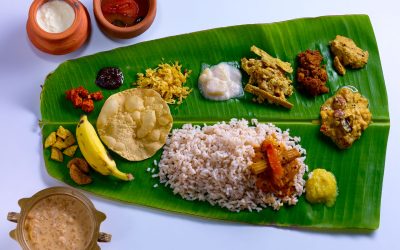 Kerala India Protocol