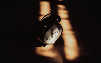 How Your Gut Impacts Your Internal Clock — And How New Eden Helps Reset It Naturally