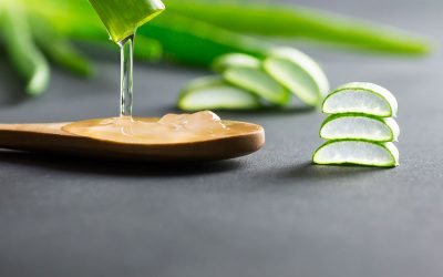 Unlocking the Power of Aloe Vera Extracts