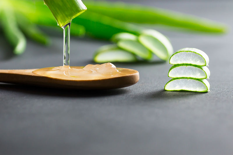 Unlocking the Power of Aloe Vera Extracts